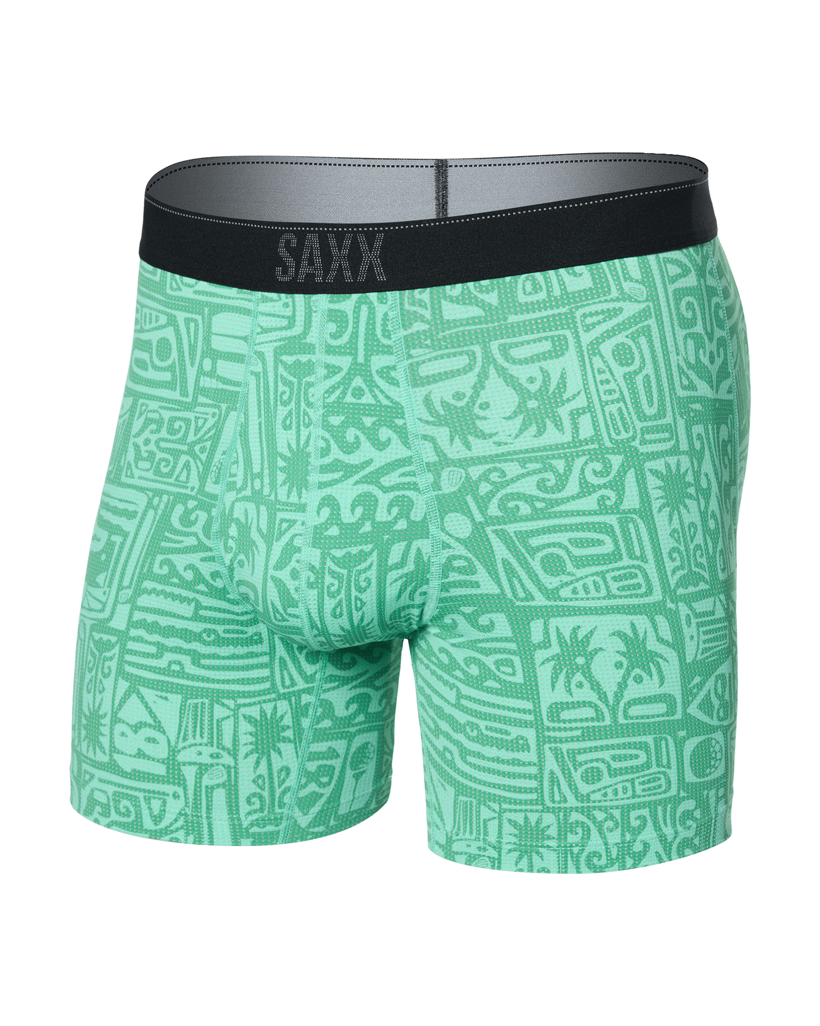 Boxer Quest JOLI OISEAU-VERT