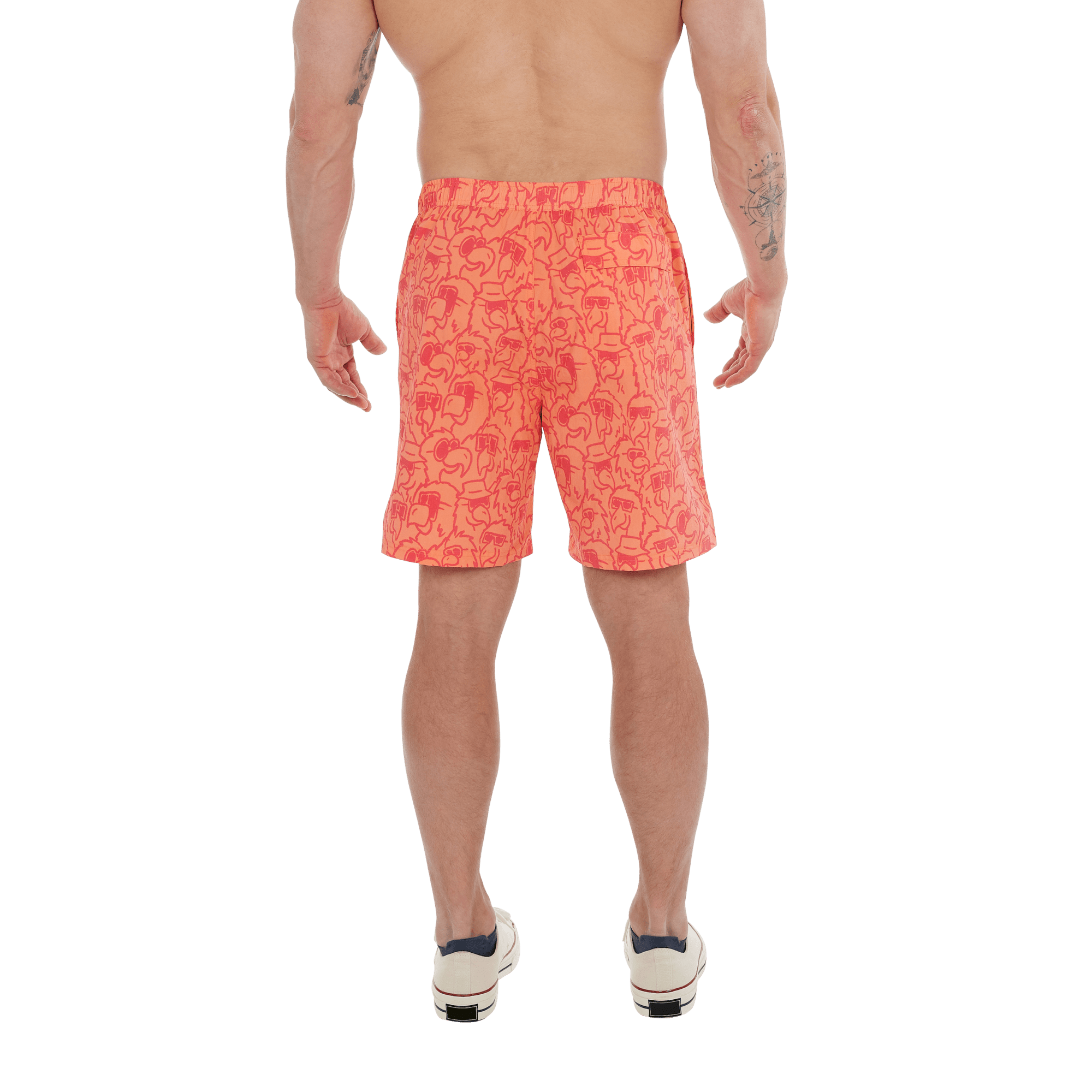 Maillot de bain Saxx GO COASTAL VOLLEY 2-EN-1 -- 7'' FÊTE PERROQUET-CORAIL